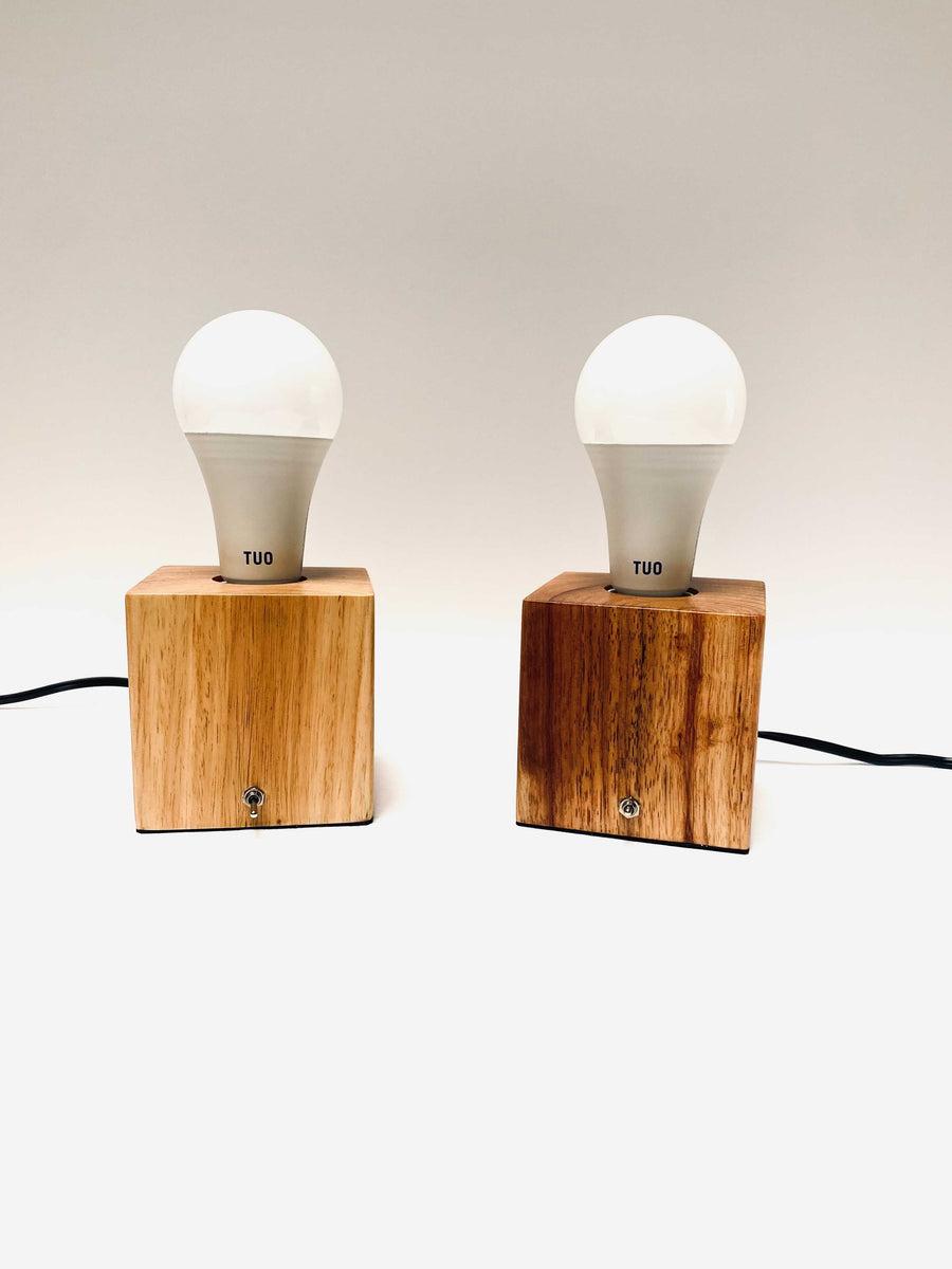 Tilmeld entanglement hval Circadian Smart Bulb & Shadeless Lamp Set – The TUO Life
